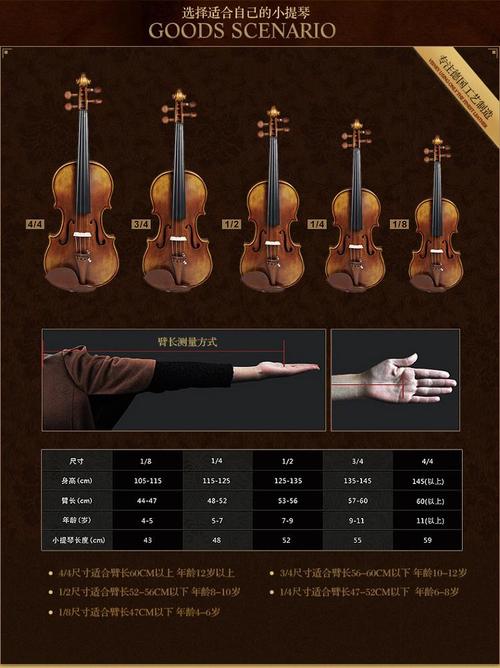 小提琴品牌排行榜及价格