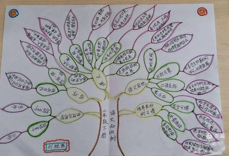 树状图怎么画 小学