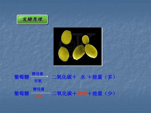 浓硝酸见光分解为什么会变成黄色