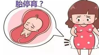 胎停育的症状