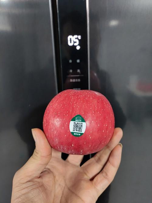 苹果可以放冰箱吗
