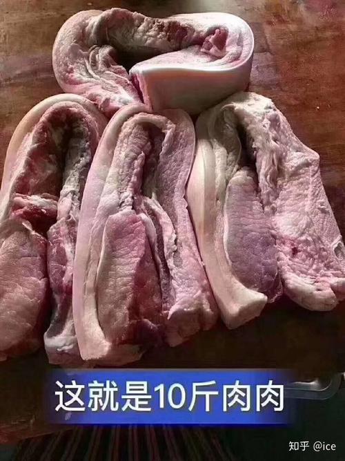10斤肉的图片的相关图片