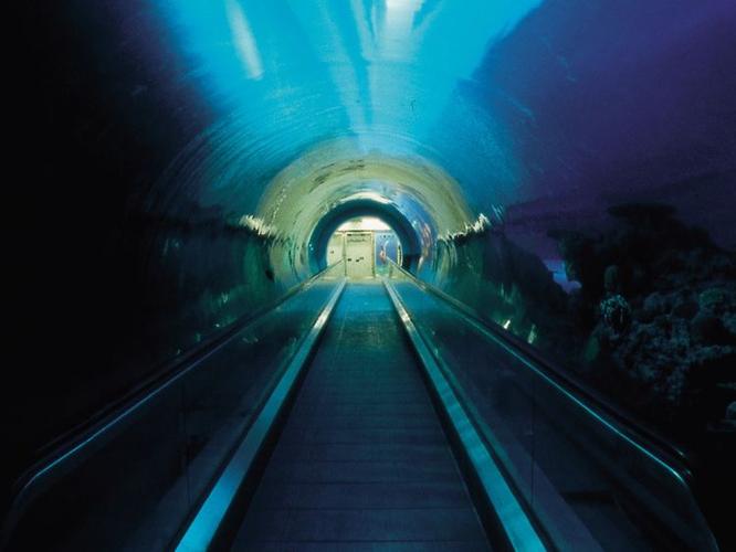中国海底隧道的相关图片
